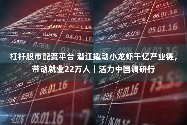 杠杆股市配资平台 潜江撬动小龙虾千亿产业链，带动就业22万人｜活力中国调研行