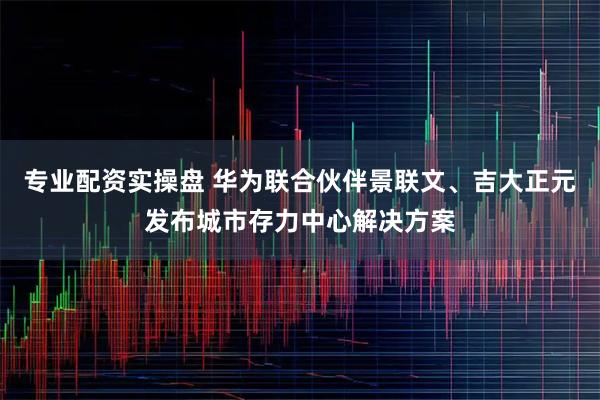 专业配资实操盘 华为联合伙伴景联文、吉大正元发布城市存力中心解决方案
