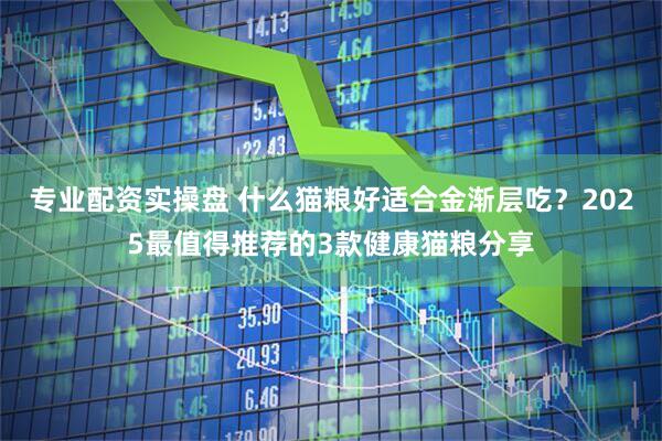 专业配资实操盘 什么猫粮好适合金渐层吃？2025最值得推荐的3款健康猫粮分享